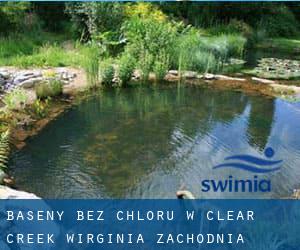 Baseny Bez chloru w Clear Creek (Wirginia Zachodnia)