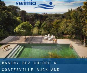 Baseny Bez chloru w Coatesville (Auckland)