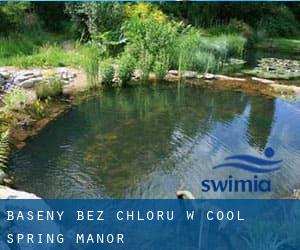 Baseny Bez chloru w Cool Spring Manor