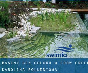 Baseny Bez chloru w Crow Creek (Karolina Południowa)