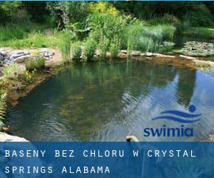 Baseny Bez chloru w Crystal Springs (Alabama)