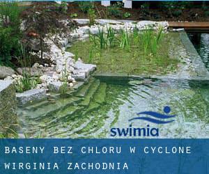 Baseny Bez chloru w Cyclone (Wirginia Zachodnia)