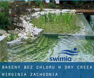 Baseny Bez chloru w Dry Creek (Wirginia Zachodnia)