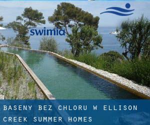 Baseny Bez chloru w Ellison Creek Summer Homes