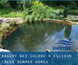 Baseny Bez chloru w Ellison Creek Summer Homes