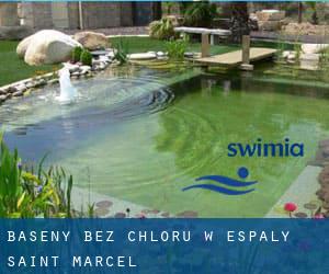 Baseny Bez chloru w Espaly-Saint-Marcel