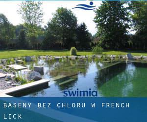 Baseny Bez chloru w French Lick