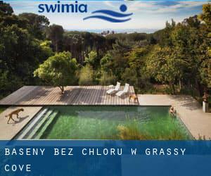 Baseny Bez chloru w Grassy Cove