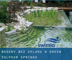 Baseny Bez chloru w Green Sulphur Springs