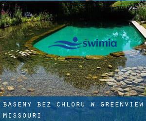 Baseny Bez chloru w Greenview (Missouri)