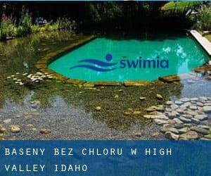 Baseny Bez chloru w High Valley (Idaho)