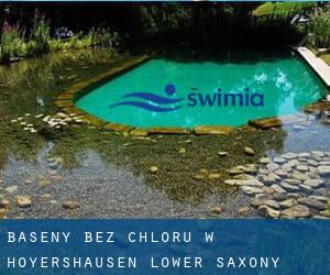 Baseny Bez chloru w Hoyershausen (Lower Saxony)