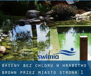 Baseny Bez chloru w Hrabstwo Brown przez Miasto - strona 1