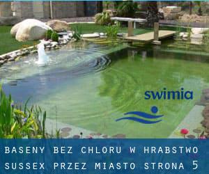 Baseny Bez chloru w Hrabstwo Sussex przez Miasto - strona 5