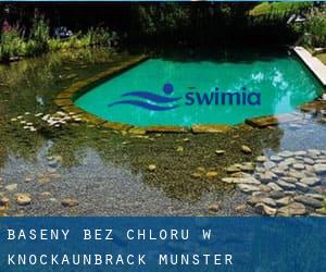 Baseny Bez chloru w Knockaunbrack (Munster)