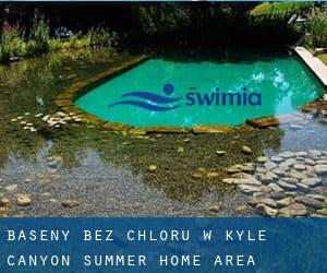 Baseny Bez chloru w Kyle Canyon Summer Home Area