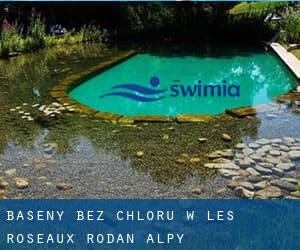 Baseny Bez chloru w Les Roseaux (Rodan-Alpy)