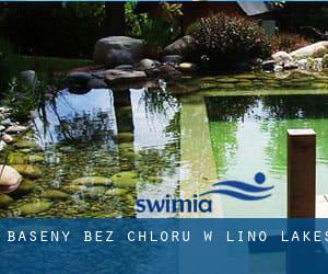 Baseny Bez chloru w Lino Lakes