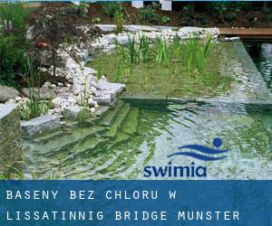 Baseny Bez chloru w Lissatinnig Bridge (Munster)