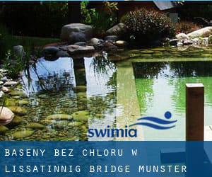 Baseny Bez chloru w Lissatinnig Bridge (Munster)