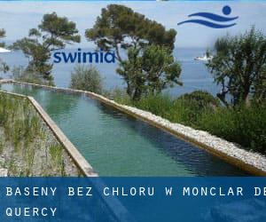 Baseny Bez chloru w Monclar-de-Quercy