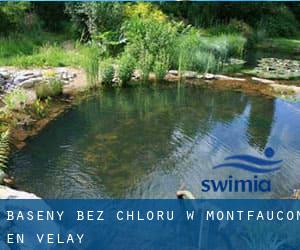 Baseny Bez chloru w Montfaucon-en-Velay