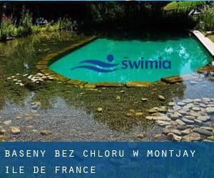 Baseny Bez chloru w Montjay (Île-de-France)