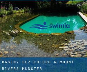 Baseny Bez chloru w Mount Rivers (Munster)