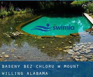 Baseny Bez chloru w Mount Willing (Alabama)