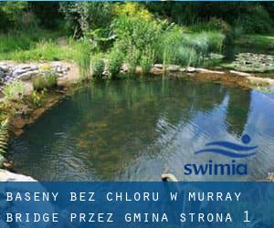 Baseny Bez chloru w Murray Bridge przez Gmina - strona 1