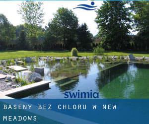 Baseny Bez chloru w New Meadows