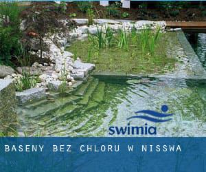 Baseny Bez chloru w Nisswa