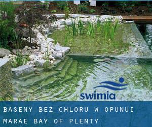 Baseny Bez chloru w Opunui Marae (Bay of Plenty)