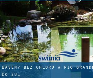 Baseny Bez chloru w Rio Grande do Sul