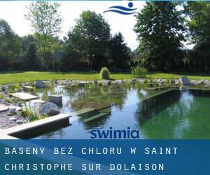 Baseny Bez chloru w Saint-Christophe-sur-Dolaison