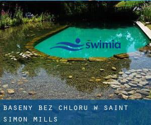 Baseny Bez chloru w Saint Simon Mills