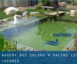 Baseny Bez chloru w Salins-les-Thermes