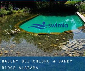 Baseny Bez chloru w Sandy Ridge (Alabama)