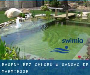 Baseny Bez chloru w Sansac-de-Marmiesse