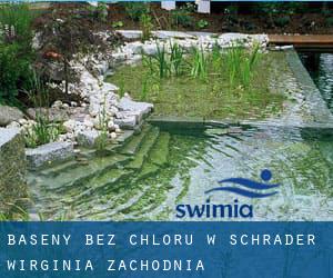 Baseny Bez chloru w Schrader (Wirginia Zachodnia)