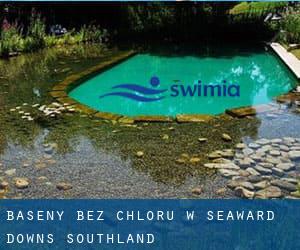 Baseny Bez chloru w Seaward Downs (Southland)