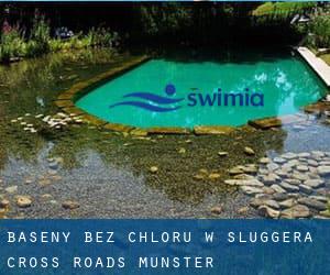 Baseny Bez chloru w Sluggera Cross Roads (Munster)