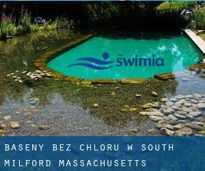 Baseny Bez chloru w South Milford (Massachusetts)