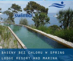 Baseny Bez chloru w Spring Lodge Resort and Marina