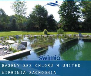 Baseny Bez chloru w United (Wirginia Zachodnia)