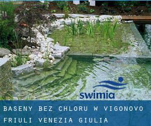 Baseny Bez chloru w Vigonovo (Friuli Venezia Giulia)