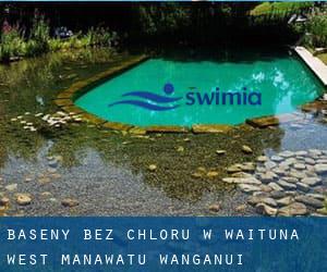 Baseny Bez chloru w Waituna West (Manawatu-Wanganui)