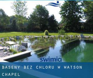 Baseny Bez chloru w Watson Chapel