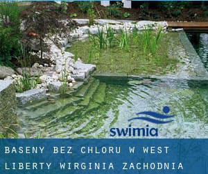 Baseny Bez chloru w West Liberty (Wirginia Zachodnia)