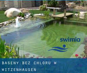 Baseny Bez chloru w Witzenhausen